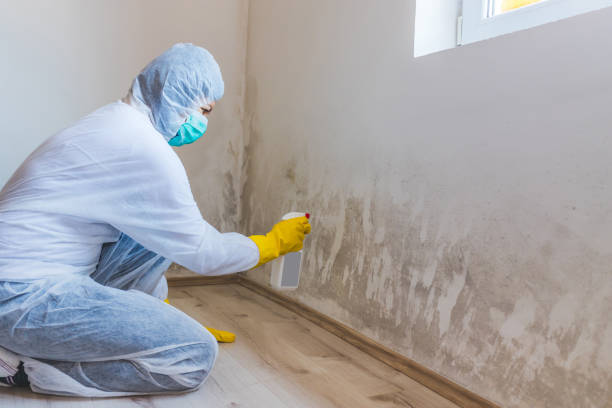 Licensed Crawl Space Mold Removal service in Pompton Plains, NJ - WQB Mold Removal