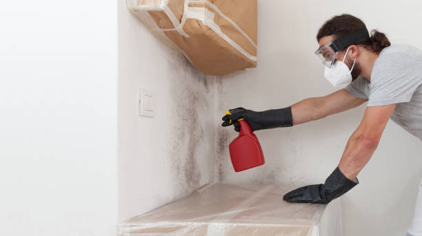 Professional Crawl Space Mold Removal technician working in Pompton Plains, NJ