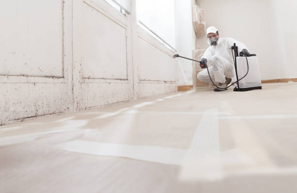 24/7 Emergency Crawl Space Mold Removal experts in Pompton Plains, NJ