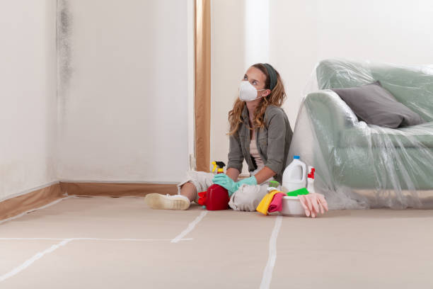 Reliable Crawl Space Mold Removal contractor in Pompton Plains, NJ by WQB Mold Removal