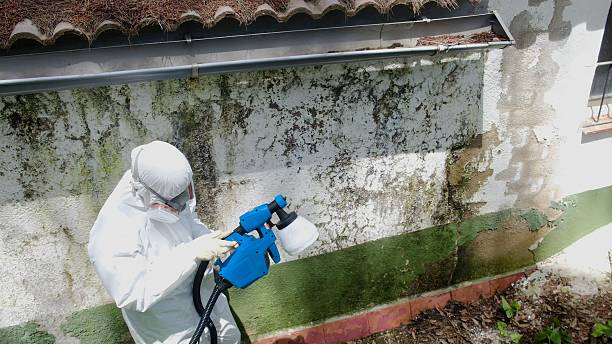 Top rated local Crawl Space Mold Removal specialists in Pompton Plains, NJ